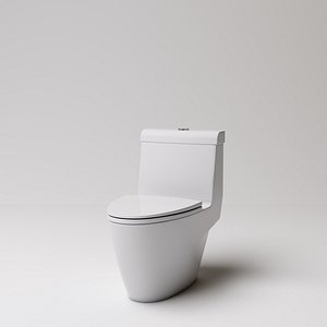 toilet(9)