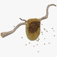 Bee Hive 01