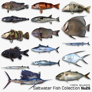 3D Saltwater Fish Collection 26