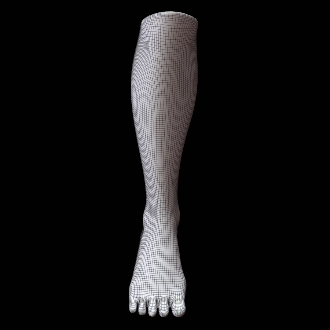 11,663 Socks Feet Model Images, Stock Photos, 3D objects
