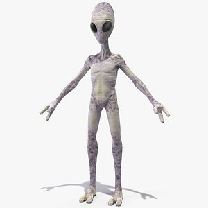 Humanoid Alien