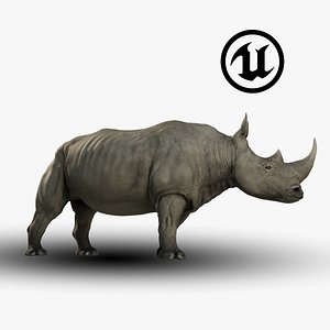 Rhinoceros - Game ready