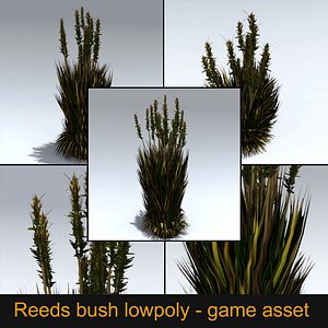 Reeds Bush - Game asset