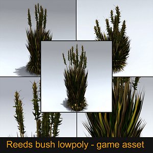 Reeds Bush - Game asset