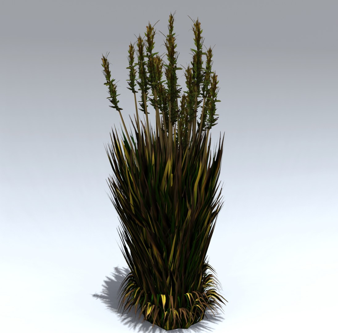 Bush Reed 3D Model - TurboSquid 1354516