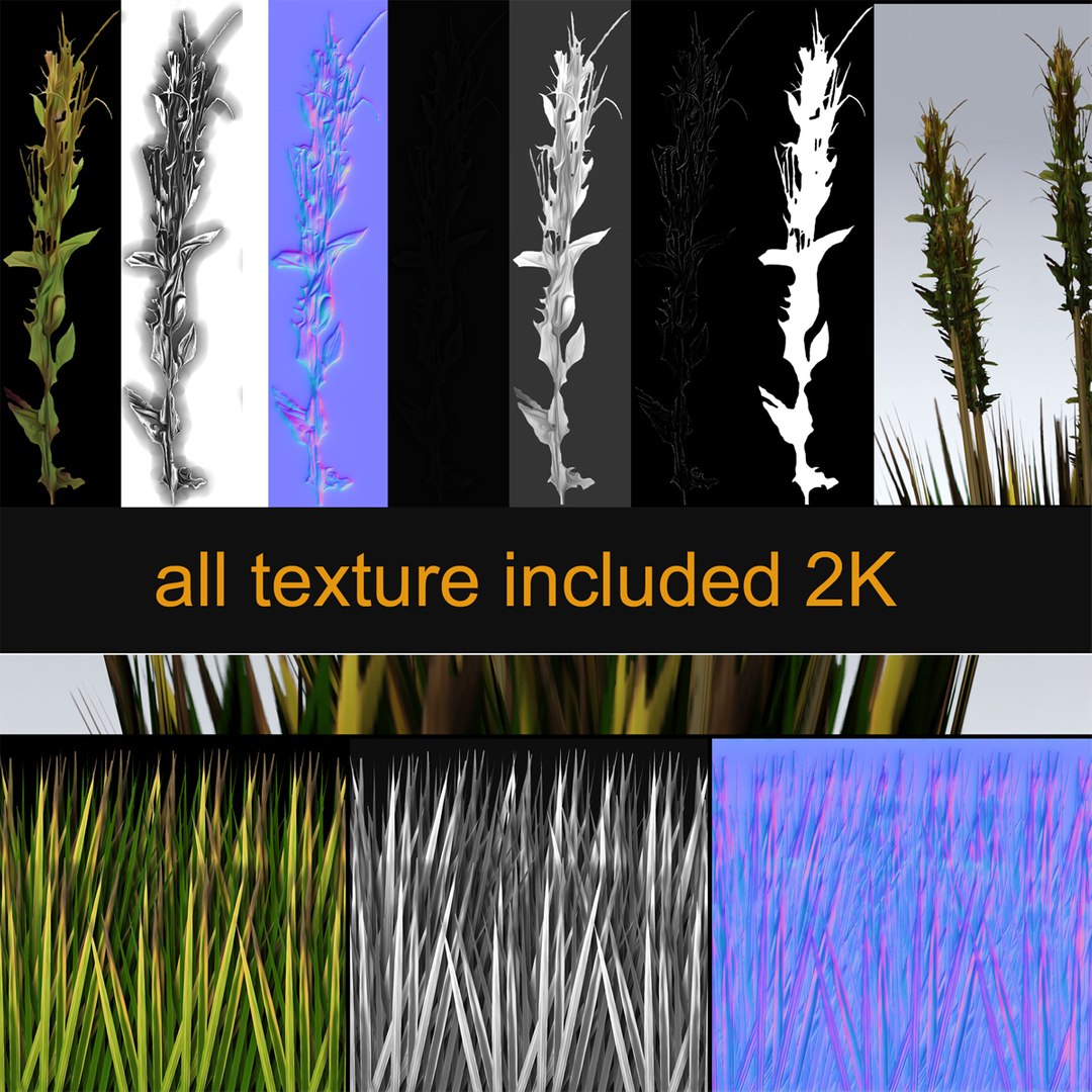 Bush reed 3D model - TurboSquid 1354516