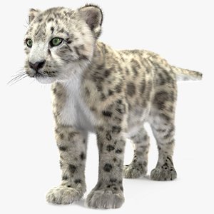 Snow Leopard Cub Fur for Maya 3D