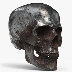 Human Skull Sci-fi Rusty A 3D model