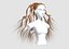 Ponytails Long Hairstyle