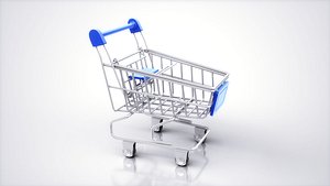 Shopping Cart model