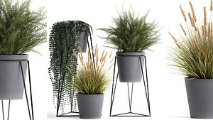 3D Plants in a flowerpot for the interior 946 model