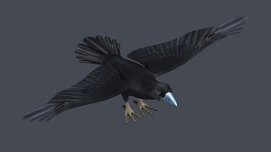 Crow Raven Black Bird Black Crow raven corvus animal bird