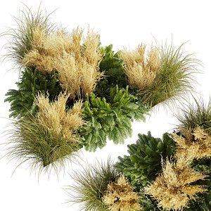 plant vol 875 - garden - pampas - fern - bush 3D