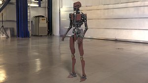 Animated fully rigged robot