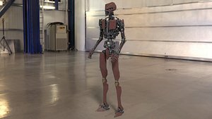 Animated fully rigged robot
