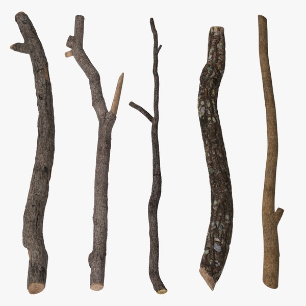 3d c4d 5 twigs