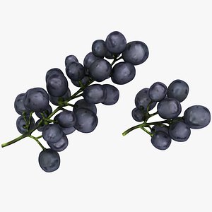 3D grapes black