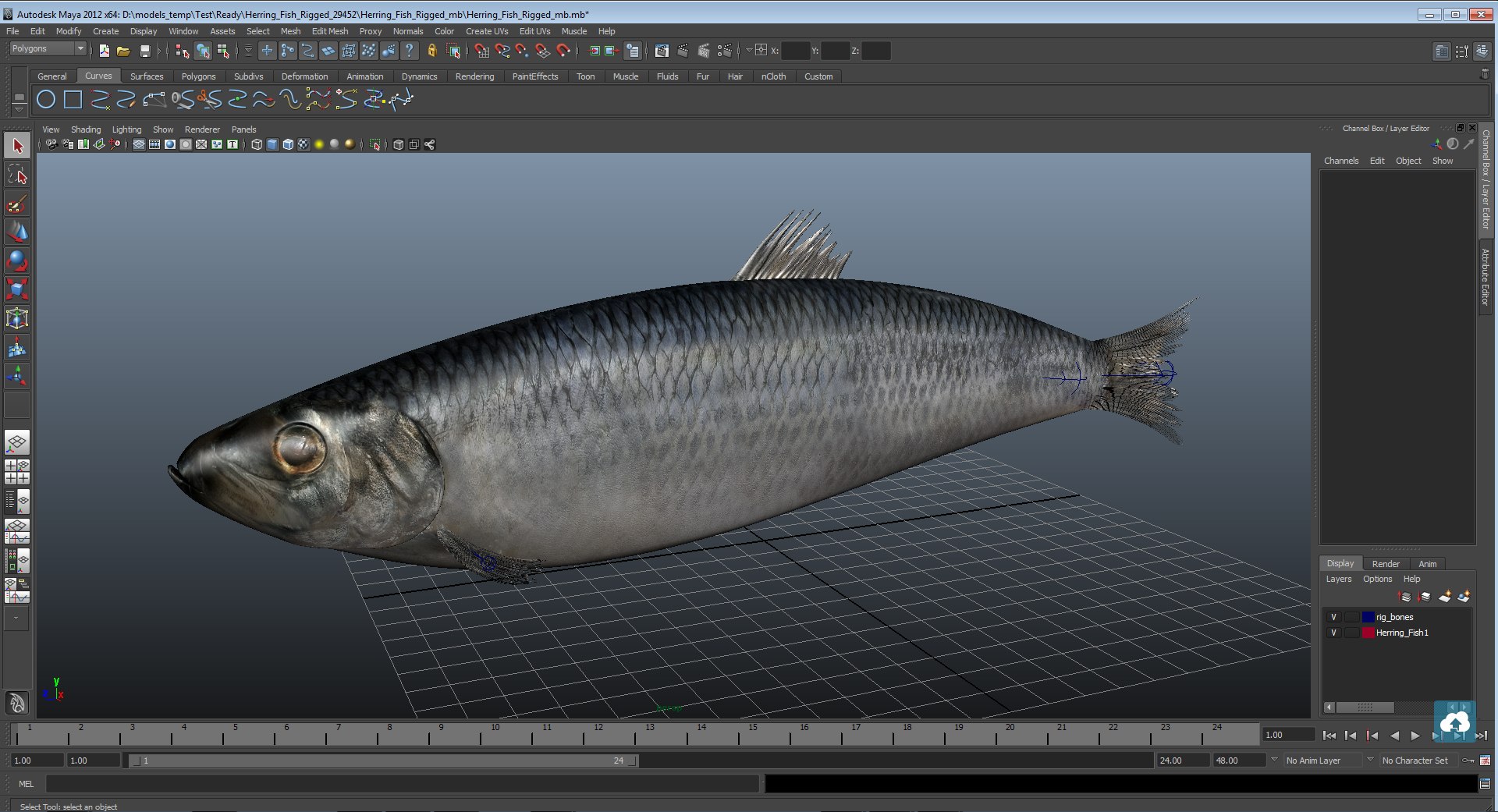 rigged fishes 3 3D model https://p.turbosquid.com/ts-thumb/ll/WdZHIx/513jAtmx/herringfishriggedmaya3dmodel18/jpg/1582612493/1920x1080/fit_q87/4e061437fde6d68113b2f0cedfc684796704c99b/herringfishriggedmaya3dmodel18.jpg