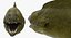 Fishes Collection 3 Rigged for Maya
