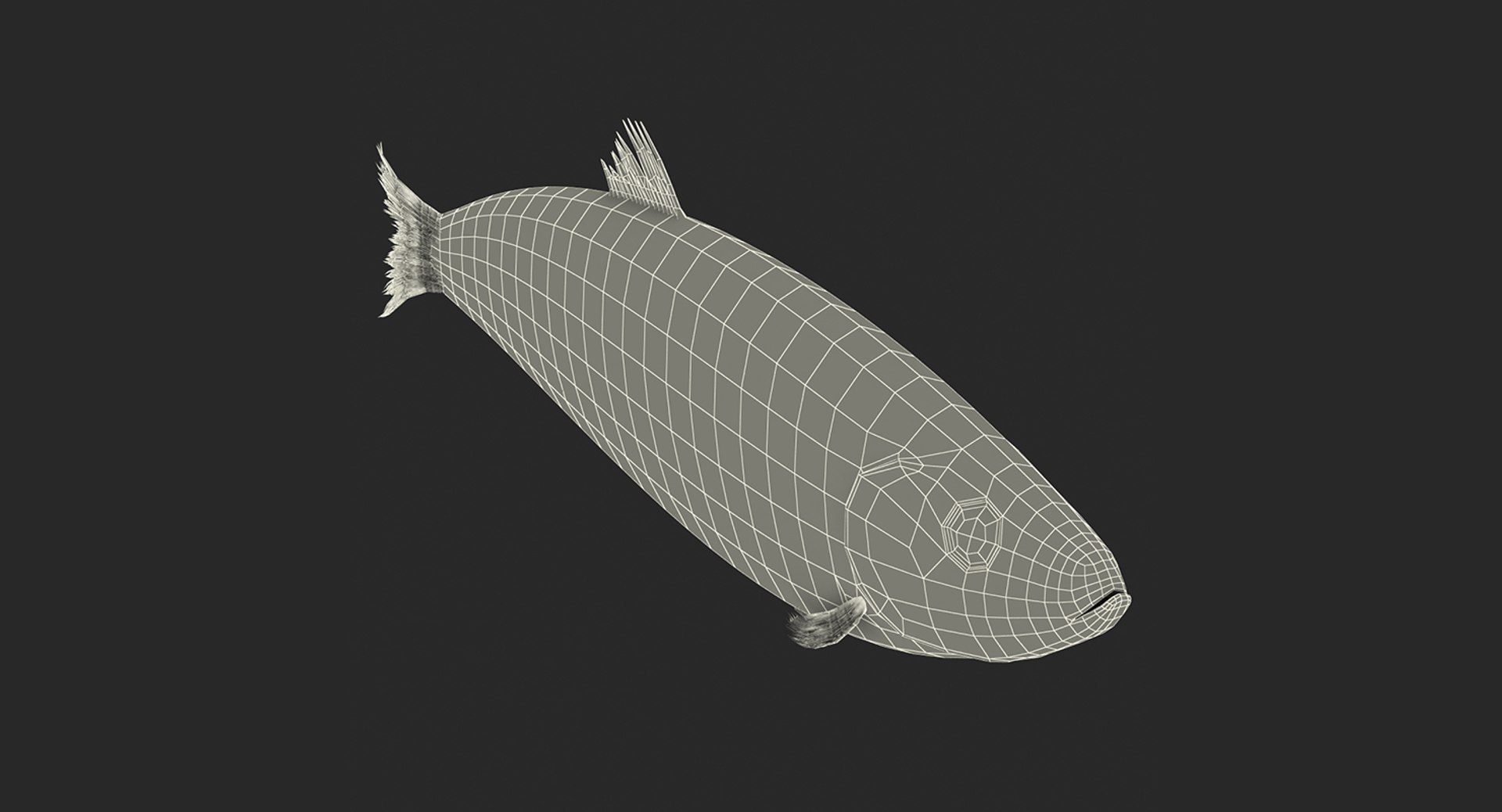rigged fishes 3 3D model https://p.turbosquid.com/ts-thumb/ll/WdZHIx/BC06uwyn/riggedfishescollection3c4dmodel132/jpg/1531549632/1920x1080/fit_q87/c7885faa226d30d1c4d8de80fb757c9e3e0284bf/riggedfishescollection3c4dmodel132.jpg