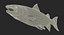 Fishes Collection 3 Rigged for Maya