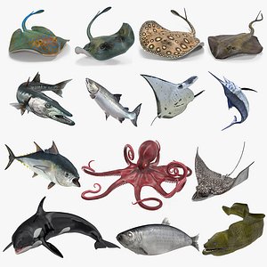 rigged fishes 3 3D model