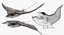 Fishes Collection 3 Rigged for Maya