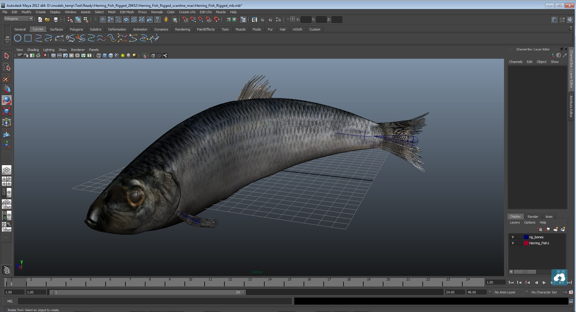 rigged fishes 3 3D model https://p.turbosquid.com/ts-thumb/ll/WdZHIx/VFx3bWaL/herringfishriggedmaya3dmodel19/jpg/1582612493/1920x1080/fit_q87/b455509597240a1b58dde7af4349e4daa035023a/herringfishriggedmaya3dmodel19.jpg