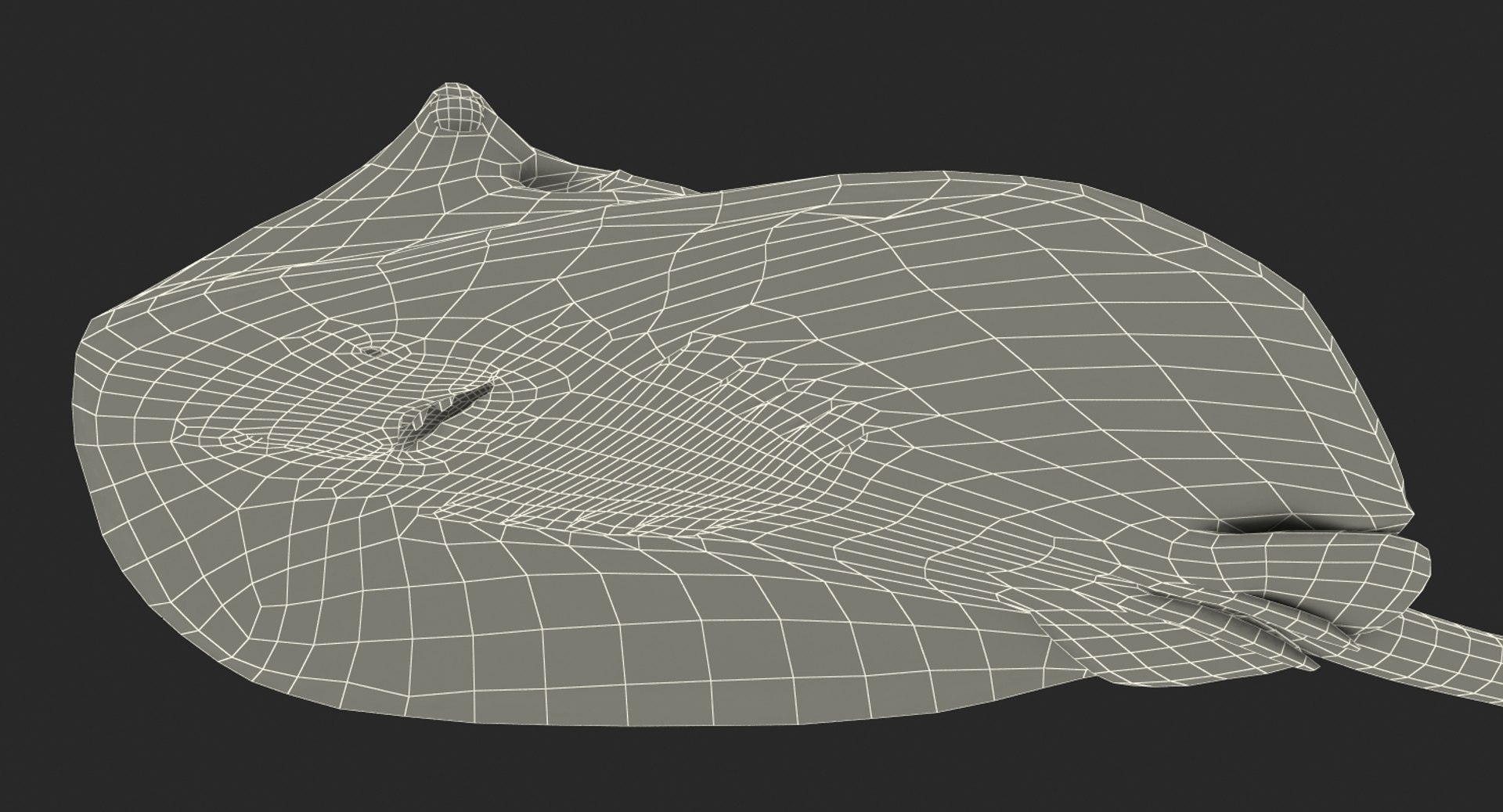 rigged fishes 3 3D model https://p.turbosquid.com/ts-thumb/ll/WdZHIx/WCgXhdTC/riggedfishescollection3c4dmodel130/jpg/1531549632/1920x1080/fit_q87/b6cf2a183225c99ee911aa7d95868043c8b4224a/riggedfishescollection3c4dmodel130.jpg