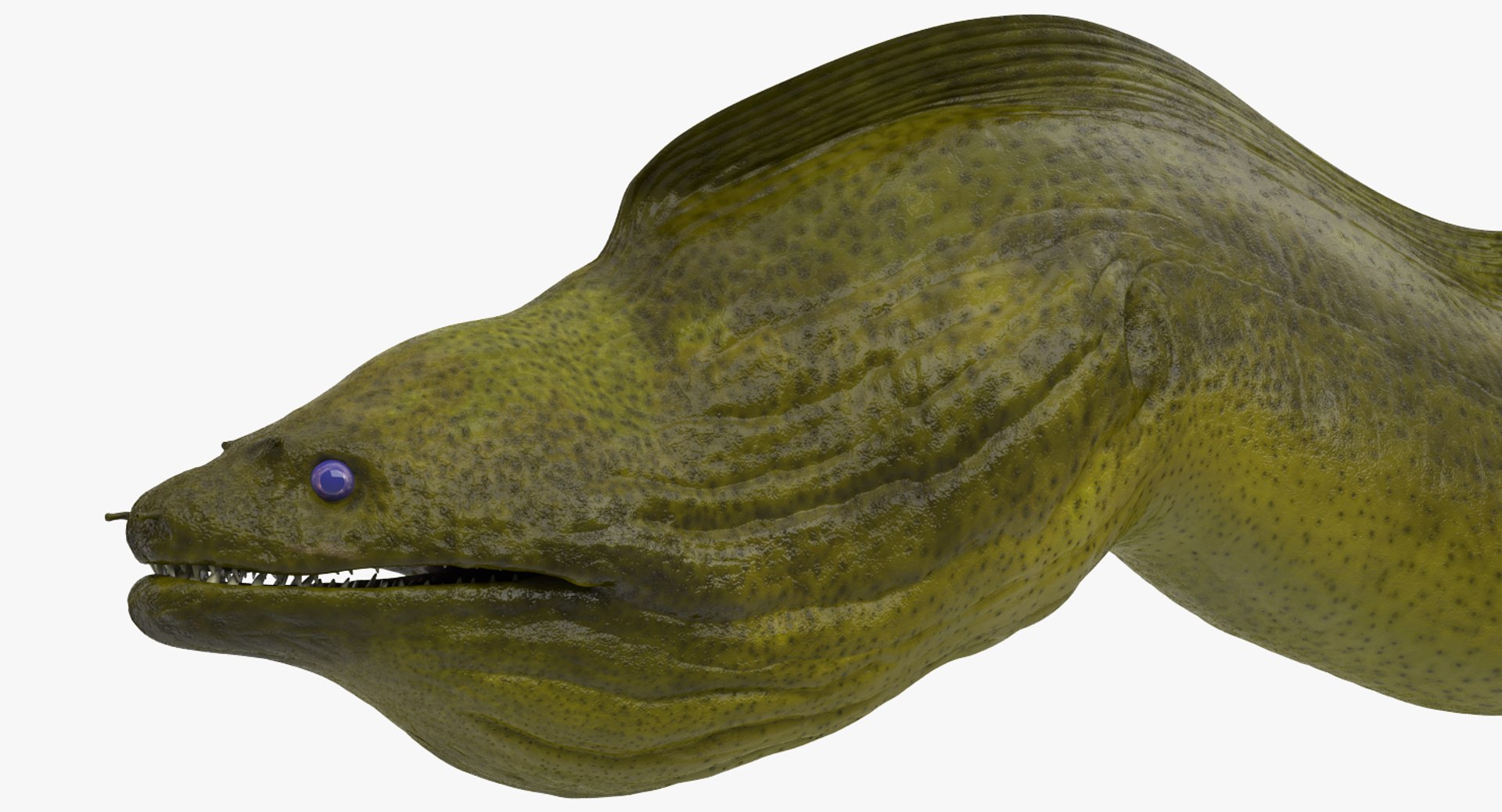 rigged fishes 3 3D model https://p.turbosquid.com/ts-thumb/ll/WdZHIx/dhbZTJz5/riggedfishescollection3c4dmodel038/jpg/1531549630/1920x1080/fit_q87/354f6438b6787a55e84208746cfd975a0210c8e4/riggedfishescollection3c4dmodel038.jpg