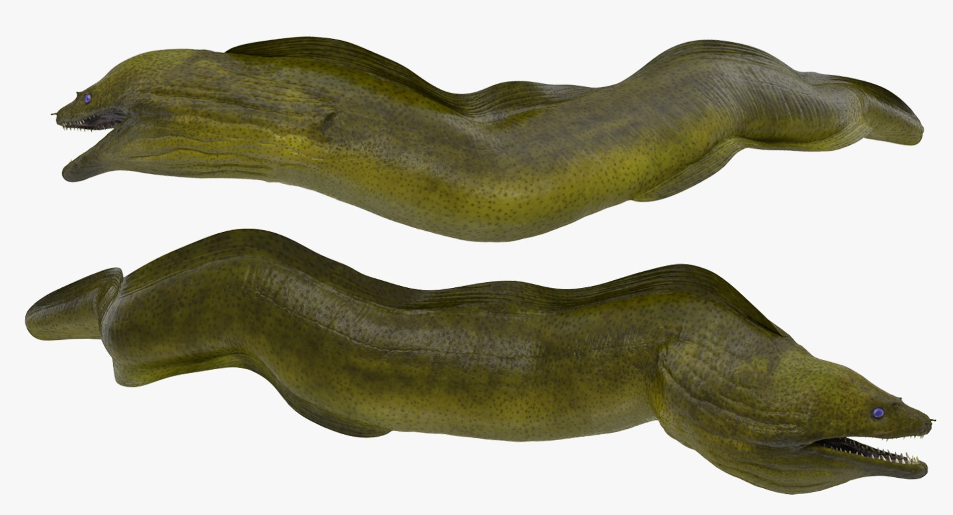 rigged fishes 3 3D model https://p.turbosquid.com/ts-thumb/ll/WdZHIx/lqJF9WV6/riggedfishescollection3c4dmodel036/jpg/1531549630/1920x1080/fit_q87/23d5dfbc44fb0cbdd3fcbd0df8f70473090ab304/riggedfishescollection3c4dmodel036.jpg