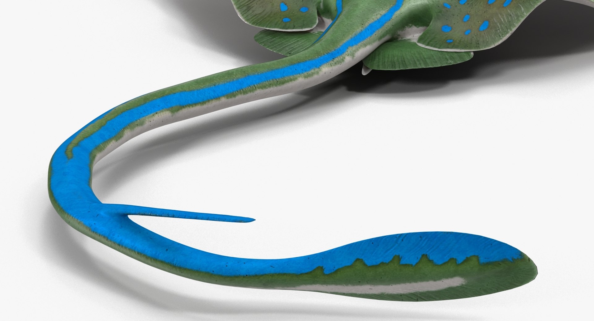 rigged fishes 3 3D model https://p.turbosquid.com/ts-thumb/ll/WdZHIx/n3kkOWna/riggedfishescollection3c4dmodel112/jpg/1531549632/1920x1080/fit_q87/e056ff2bab20eb145e99ac401aebd2ec9851ae60/riggedfishescollection3c4dmodel112.jpg