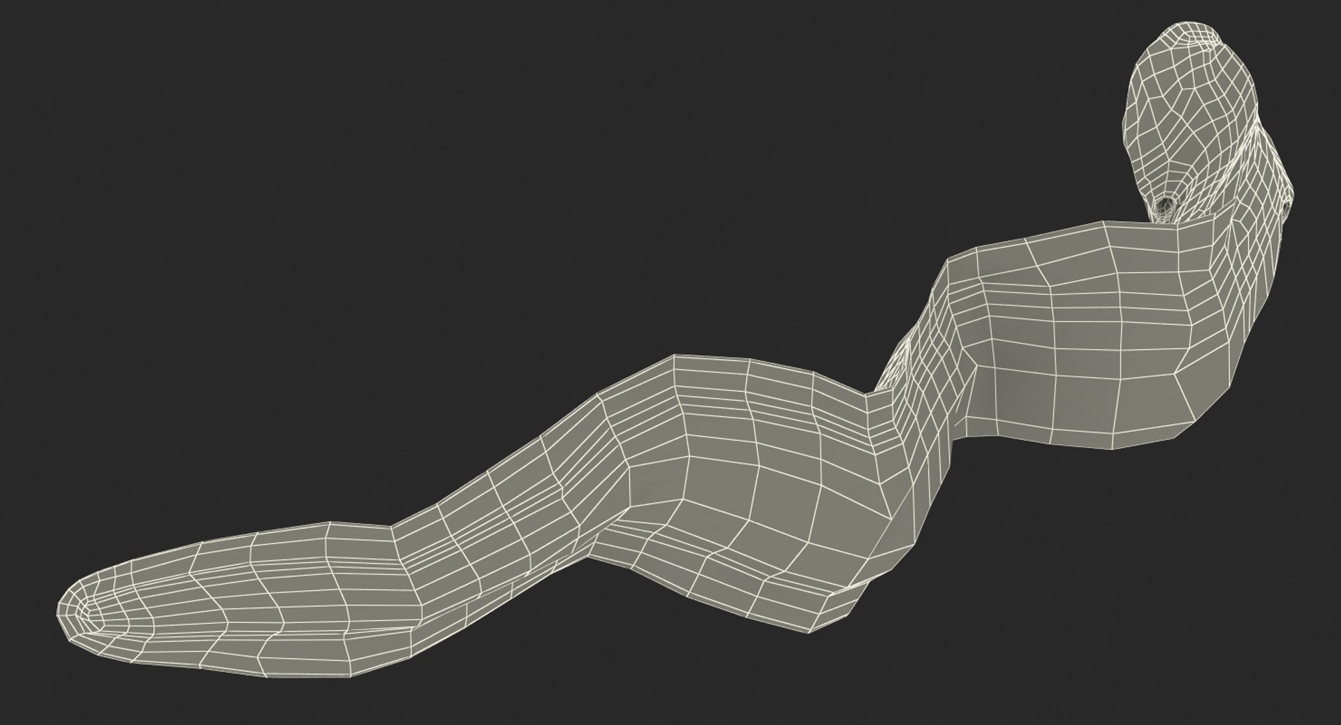 rigged fishes 3 3D model https://p.turbosquid.com/ts-thumb/ll/WdZHIx/yZps3U7K/riggedfishescollection3c4dmodel122/jpg/1531549632/1920x1080/fit_q87/ddbabe0b5c5c67b9ec0ae70d3763fb124583c3ce/riggedfishescollection3c4dmodel122.jpg