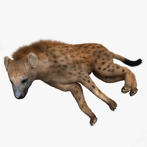 hyena pose 4 fur 3d max