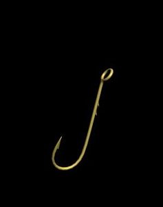 Worm-Hook