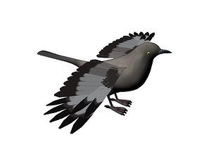 3d model crow bird