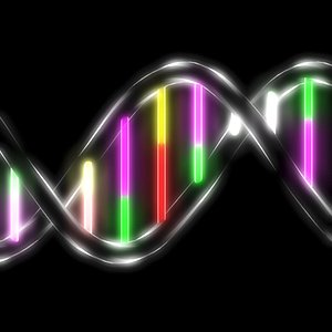 3d dna groove genetic model