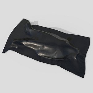 3D Dead Body Covered model