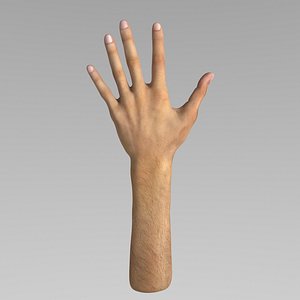 hand modelled 3D model