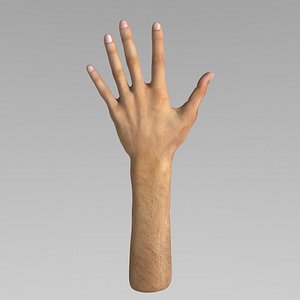 3D Hand Model Realistic