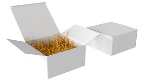 3D Crinkle Paper Gift Box PBR 2 model