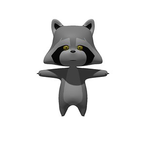Racoon Cartoon 3D
