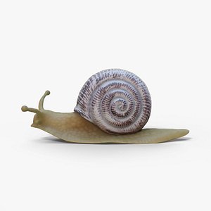 3D toy snail model