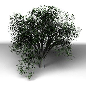 Klon_1_Modo