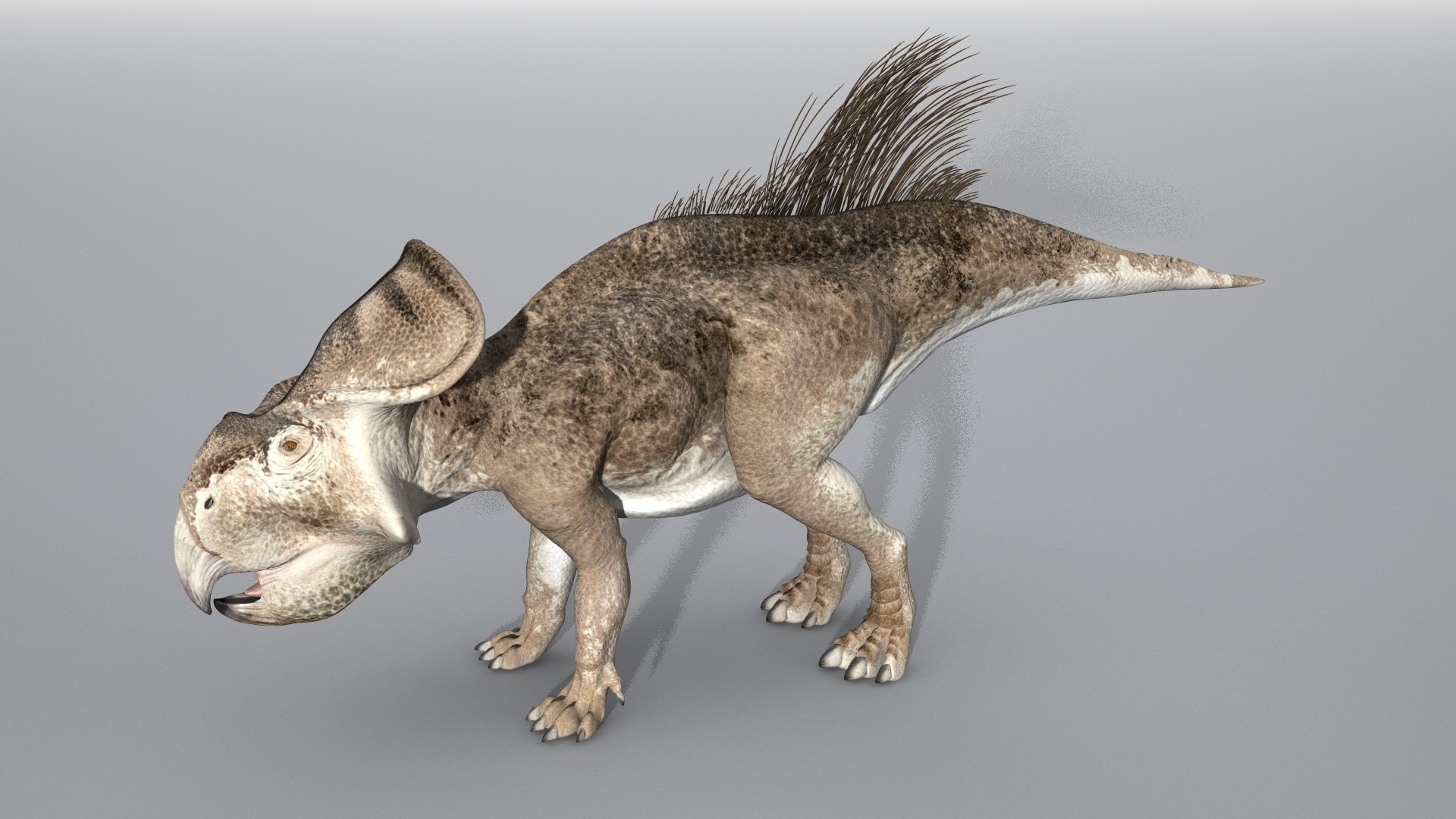 Protoceratops Dinosaur Run Premium Plant Based Resin 3D 