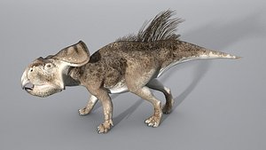 Protoceratops 3D model