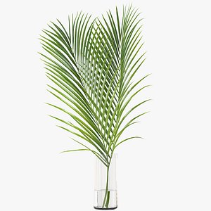 3D model palm leaves