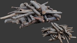3D Firewood Logs Stack 3D Scan model