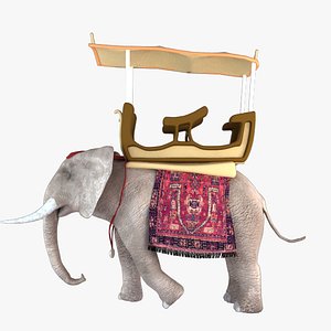 Elephant 3