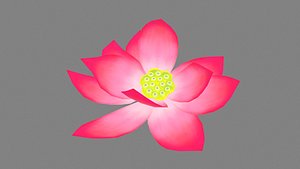 A red lotus - Cartoon lotus - Open stamens 3D